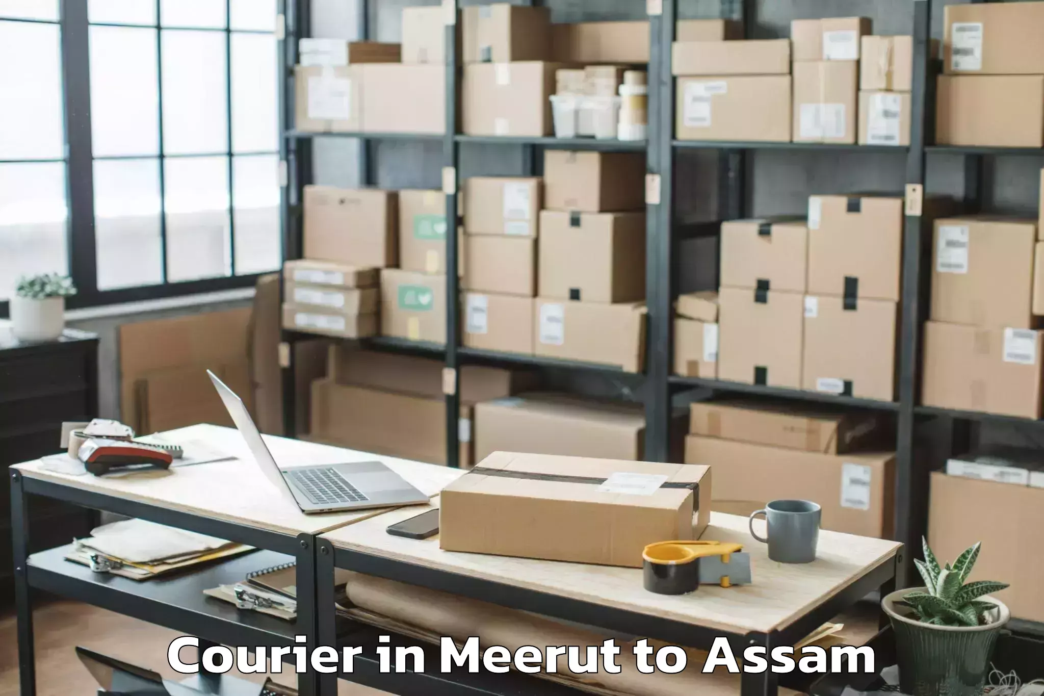 Affordable Meerut to Silapathar Courier